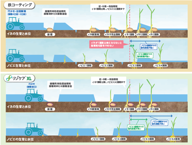リゾケア除草剤タイミング-2