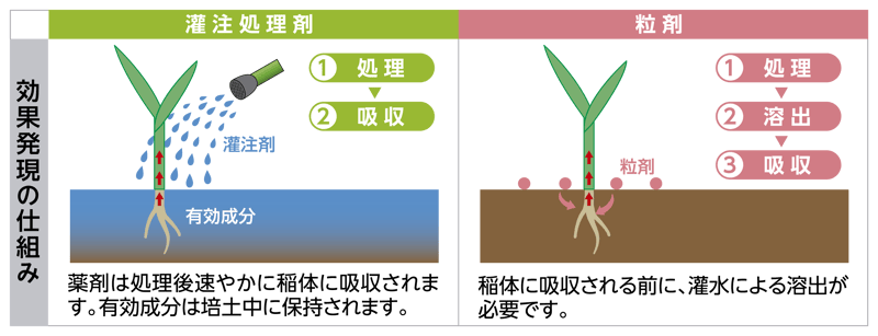 灌注処理剤の効果発現の仕組み