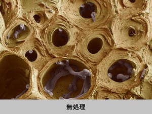 Amazon.co.jp: シンジェンタ ミラビスフロアブル 500ml : DIY