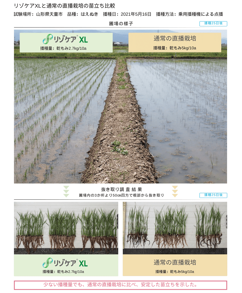 H0575_RISOCARE_page-0011