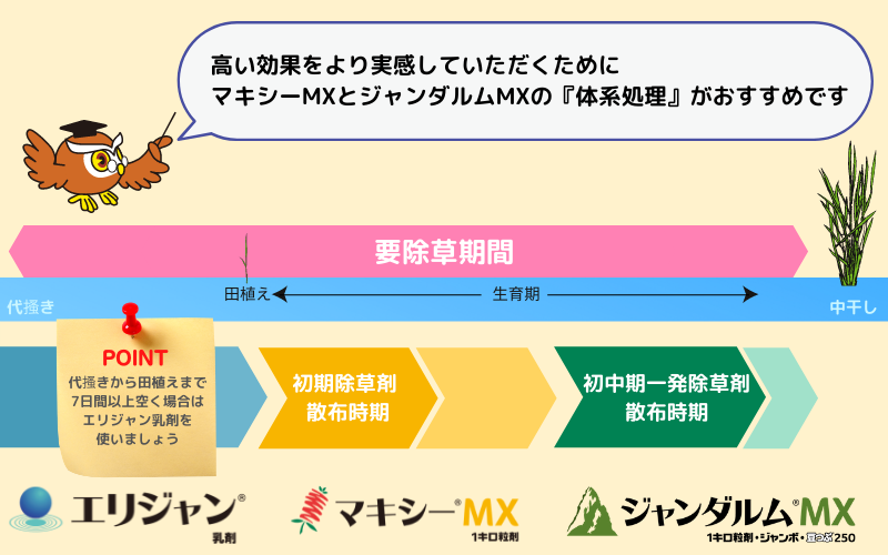 水稲用除草剤の上手な使い方】ジャンダルムMXシリーズ | シンジェンタ